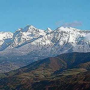 Meet your Posher, Ella